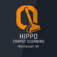 Hippo Carpet Cleaning Manhasset image 1